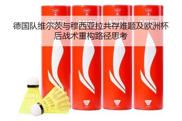 德国队维尔茨与穆西亚拉共存难题及欧洲杯后战术重构路径思考